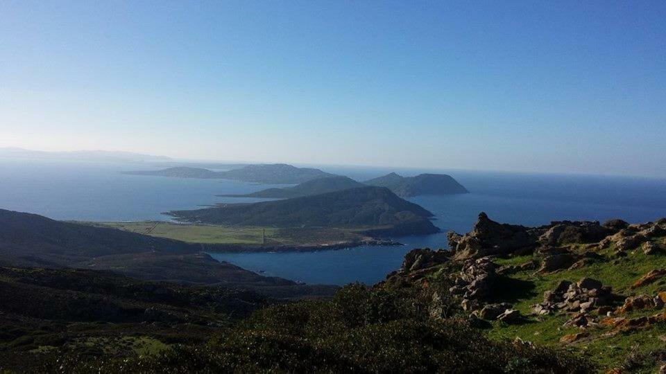 Casa "Sa Ferula" Villa Porto Torres Dış mekan fotoğraf